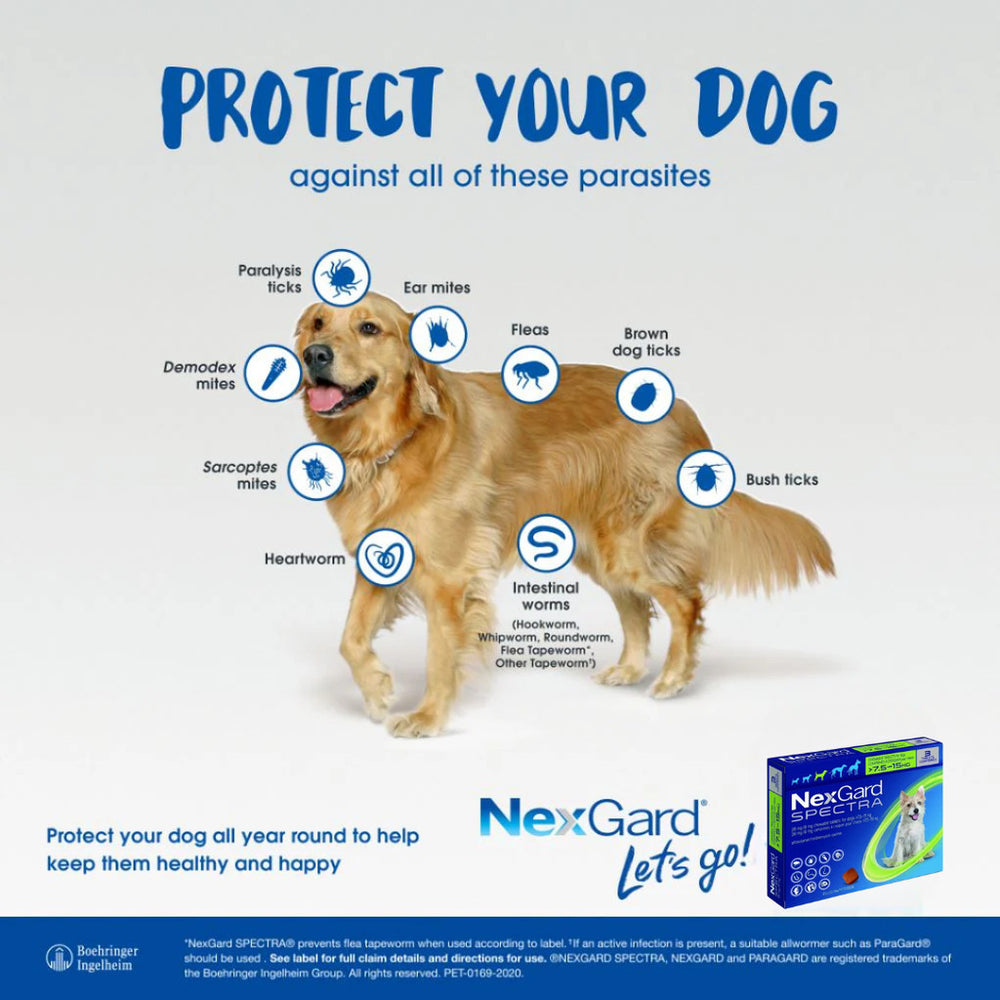 NexGard Spectra Chewable Tablets for Dogs 3 Tablets/Box All Breed Sizes Flea Ticks Heartworm Defense Beef Flavor