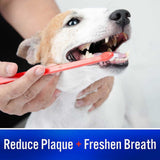 Virbac C.E.T Enzymatic Toothpaste for Dogs 70g Beef Poultry Malt Vanilla Mint - Dual Enzyme Reduce Plaque Freshen Breath