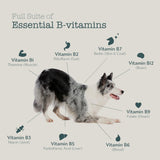 Boneve Freeze-Dried Dog Food 5g Trial Pack Raw Beef and Hoki Grain Free Vitamin C Boosts Immunity Skin & Coat Nutrients