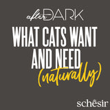 Schesir After Dark Complete and Balanced Wet Food for Adult Cats 80g - Balanced Proteins Vitamins & Minerals