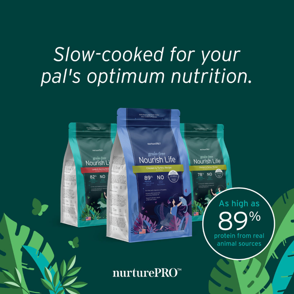 NurturePRO Nourish Life Dog Dry Food 272g 0.6lb Fresh Meat Grain Free High Protein Nutrients Salmon Chicken Lamb Flavor