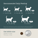 Boneve Dry Cat Food 250g 0.55lb Mackerel Beef Chicken for Cats All Life Stages Grain Free Single Protein Hypoallergenic