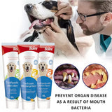 Bioline Pet Toothpaste 100g Orange Mint Chicken Prevent Tartar & Plaque Bacteria Provide Fresh Breath And Healthy Teeth
