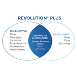 Revolution Plus x 3 tubes/box Effective  Flea Tick Heartworm Treatment for Cats Vet-Recommended Solution