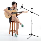 Microphone Stand Professional Karaoke Singing Recording Stage