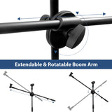 Microphone Stand Professional Karaoke Singing Recording Stage